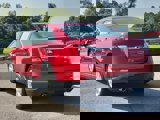 Used 2014 Ford Taurus SEL w/ Equipment Group 201A image 4