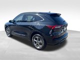 Used 2024 Ford Escape ST-Line Select w/ Tech Pack #1 image 3