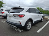 Used 2020 Ford Escape SE image 4