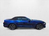 Used 2019 Ford Mustang Premium image 4
