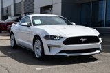 Used 2022 Ford Mustang Premium w/ Equipment Group 201A image 2