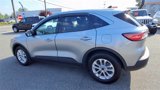 Used 2022 Ford Escape SE w/ Convenience Package image 6