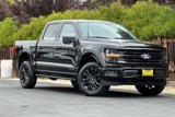 New 2025 Ford F150 XLT w/ Equipment Group 303A High image 2