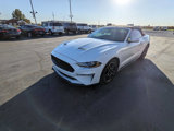 Used 2018 Ford Mustang Premium w/ Equipment Group 201A image 4