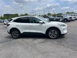 Used 2020 Ford Escape SEL image 2