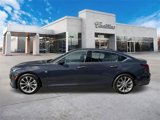 New 2024 Cadillac CT5 Premium Luxury w/ Parking Package image 6