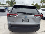 Used 2023 Toyota RAV4 XLE Premium image 4