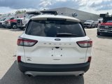 Used 2022 Ford Escape SEL image 4