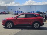 Used 2022 Ford Escape SEL image 5
