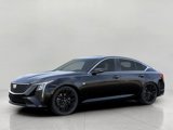 New 2026 Cadillac CT5 Premium Luxury w/ Technology Package image 2
