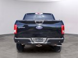 Used 2017 Ford F150 XLT w/ Equipment Group 302A Luxury image 6