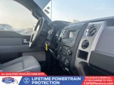 Used 2013 Ford F150 XLT w/ Mid Equipment Group image 3