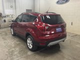 Used 2019 Ford Escape SEL image 3