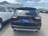 Used 2021 Ford Escape SE image 5