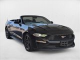 Used 2023 Ford Mustang Premium image 3