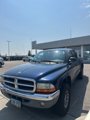 Used 2002 Dodge Dakota SLT image 3
