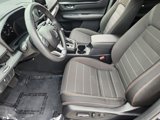 Used 2024 Honda CR-V Sport image 3