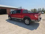 Used 2009 Ford F150 FX4 image 6