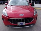 Used 2020 Ford Escape SE image 2