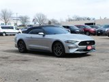 Used 2020 Ford Mustang Premium image 3