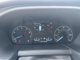 Used 2021 Ford Transit 250 Low Roof w/ Exterior Upgrade Package image 5