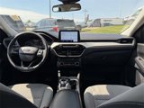 Used 2022 Ford Escape SE image 3