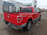 Used 2011 Ford F150 XLT w/ XLT Chrome Pkg image 5