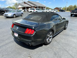 Used 2016 Ford Mustang Convertible w/ Equipment Group 051A image 4