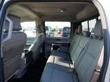 Used 2016 Ford F150 XLT w/ Equipment Group 302A Luxury image 3