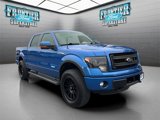 Used 2013 Ford F150 FX4 w/ Luxury Equipment Group image 2