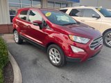 Used 2020 Ford EcoSport SE image 3