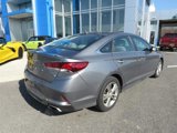 Used 2019 Hyundai Sonata SEL w/ Cargo Package image 4