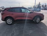 New 2025 Ford Escape Active w/ Active Premium Tech Pack image 4