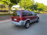 Used 2005 Ford Escape 4WD Hybrid image 4