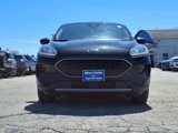 Used 2020 Ford Escape SE image 2