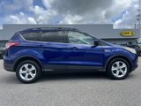 Used 2014 Ford Escape SE w/ Equipment Group 201A image 2