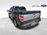 Used 2013 Ford F150 Platinum image 5