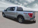 Used 2021 Ford F150 XLT w/ Equipment Group 302A High image 5
