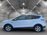 Used 2016 Ford Escape SE w/ SE Leather Comfort Package image 2