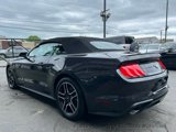 Used 2023 Ford Mustang Premium image 5