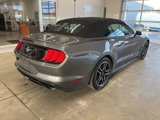 Used 2022 Ford Mustang Premium image 4