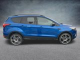 Used 2019 Ford Escape SEL image 3