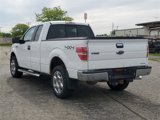 Used 2013 Ford F150 XLT w/ Luxury Equipment Group image 3
