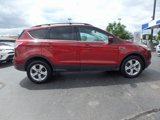 Used 2014 Ford Escape SE w/ Equipment Group 201A image 4