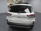Used 2021 Ford Escape Titanium w/ Titanium Elite Package image 4