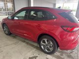 Used 2024 Ford Escape ST-Line w/ Tech Pack #1 image 4