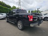 Used 2017 Ford F150 XLT w/ Equipment Group 302A Luxury image 5
