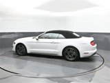Used 2022 Ford Mustang Premium image 5