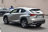 Used 2020 Lexus NX 300h AWD w/ Premium Package image 4