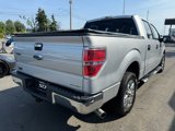 Used 2013 Ford F150 XLT w/ Luxury Equipment Group image 4
